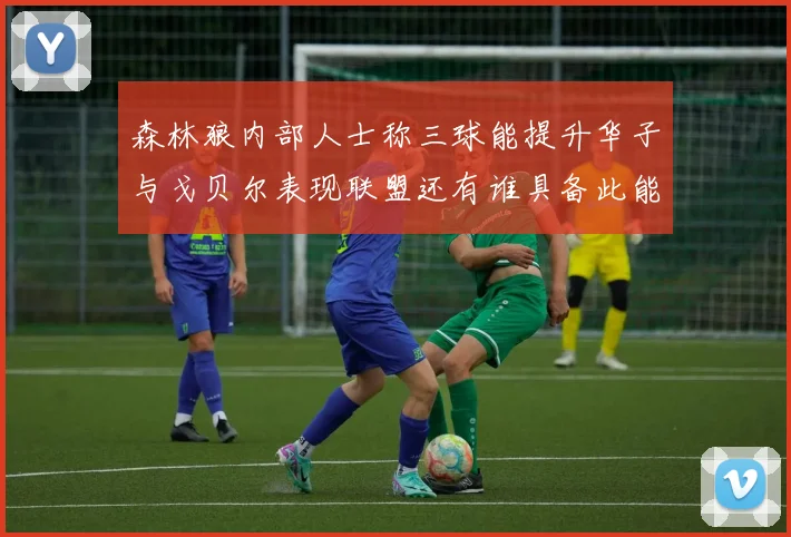 森林狼内部人士称三球能提升华子与戈贝尔表现联盟还有谁具备此能力