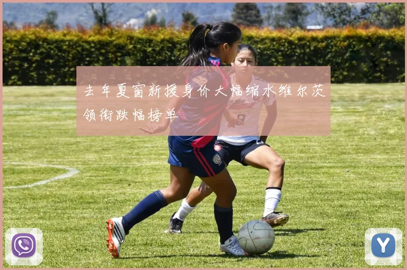 去年夏窗新援身价大幅缩水维尔茨领衔跌幅榜单